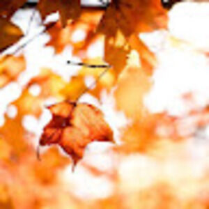 Meet your Posher, Summer